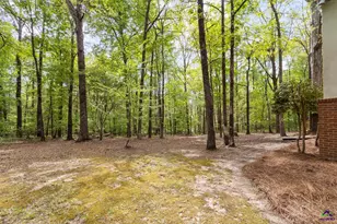 128 N Wolf Creek Dr, Macon, GA 31210 - Photo 49