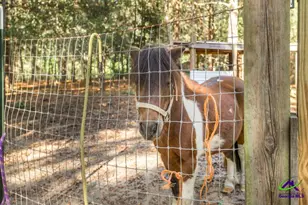 5451 Walton Rd, Fort Valley, GA 31030 - Photo 43