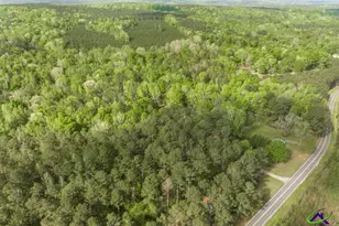 204 Smith Rd, Haddock, GA 31033 - Photo 47