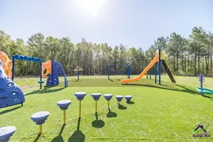 793 Springhaven Rd, Dexter, GA 31019 - Photo 41