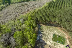 793 Springhaven Rd, Dexter, GA 31019 - Photo 49