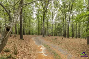 3989 Union Church Rd, Fort Valley, GA 31030 - Photo 35