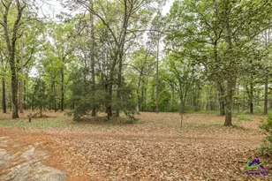 3989 Union Church Rd, Fort Valley, GA 31030 - Photo 37