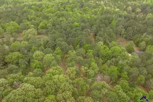 3989 Union Church Rd, Fort Valley, GA 31030 - Photo 43