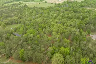 3989 Union Church Rd, Fort Valley, GA 31030 - Photo 39