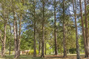 242 Lake Joy Rd, Perry, GA 31069 - Photo 57