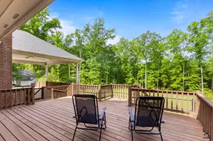 54 Meadow Ln, Hawkinsville, GA 31036 - Photo 53