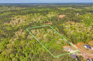 126 Mallie Dr, Forsyth, GA 31029 - Photo 71