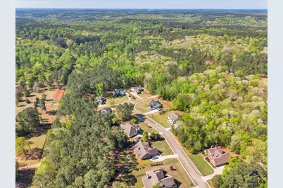 126 Mallie Drive, Forsyth, GA 31029 - Photo 89