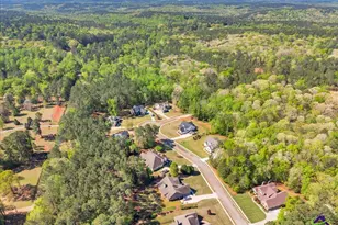 126 Mallie Dr, Forsyth, GA 31029 - Photo 89