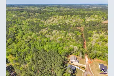 126 Mallie Drive, Forsyth, GA 31029 - Photo 93