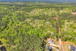 126 Mallie Dr, Forsyth, GA 31029 - Photo 93