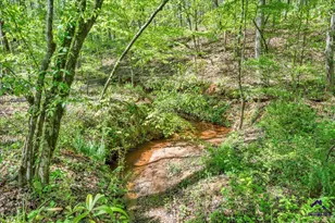 126 Mallie Dr, Forsyth, GA 31029 - Photo 73