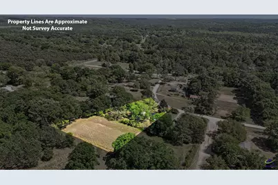 3668 Myers Street, Dry Branch, GA 31020 - Photo 33