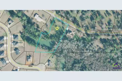 0 Craftway Drive, Hawkinsville, GA 31036 - Photo 1