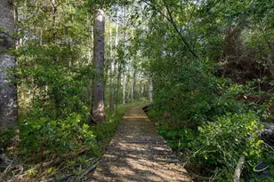 243 Mossland Dr, Perry, GA 31069 - Photo 93