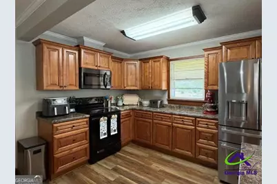 2 W Pearl Street, Alamo, GA 30411 - Photo 17