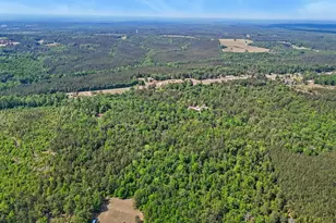 3875 Ga Hwy 128, Roberta, GA 31078 - Photo 63