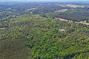 3875 Ga Hwy 128, Roberta, GA 31078 - Photo 61