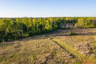 1065 Wimberly Rd, Elko, GA 31036 - Photo 57