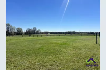 1670 W White Road, Byron, GA 31008 - Photo 19