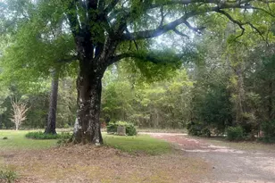 371 Buchanan Rd, Eastman, GA 31023 - Photo 11