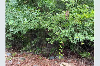J W Miller Road, Reynolds, GA 31076 - Photo 5