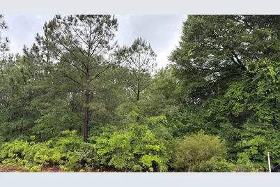 J W Miller Road, Reynolds, GA 31076 - Photo 3