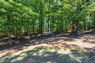 103 N Knotty Ct, Forsyth, GA 31029 - Photo 35