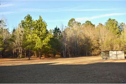 239 Trent Drive, Eastman, GA 31023 - Photo 29