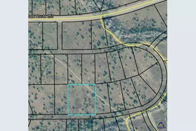 0 Palm Circle, Hawkinsville, GA 31036 - Photo 3