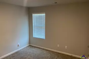 119 River Birch Ln, Macon, GA 31216 - Photo 19