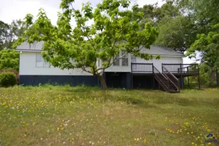103 S Lakeview Dr, Ivey, GA 31031 - Photo 21