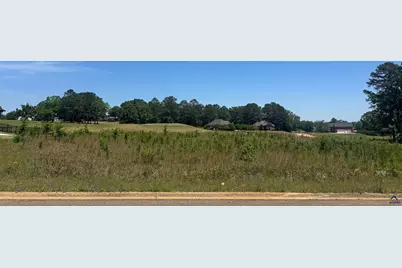 Lot 20 Camden Way, Hawkinsville, GA 31063 - Photo 7