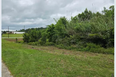44 341 Bypass, Hawkinsville, GA 31036 - Photo 5