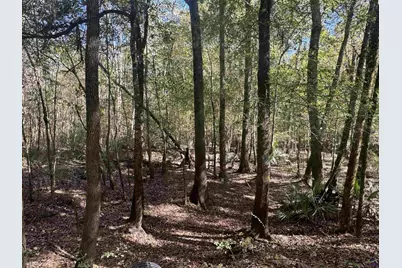 00 Sand Hammock, Hawkinsville, GA 31036 - Photo 1