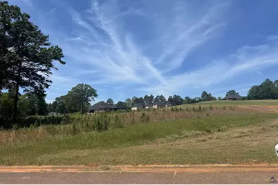 Lot 22 Camden Way, Hawkinsville, GA 31063 - Photo 11