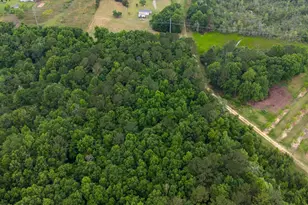 836 Kersey Rd, Elko, GA 31025 - Photo 59