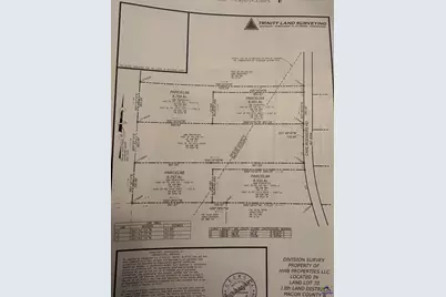Parcel 6B Carl Rodgers Rd., Reynolds, GA 31070 - Photo 1