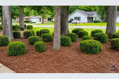 419 Sentry Oaks 419 Sentry Oaks Drive Drive, Centerville, GA 31028 - Photo 3