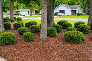 419 Sentry Oaks Dr, Centerville, GA 31028 - Photo 3