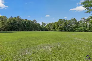 117 Cartwright Dr, Bonaire, GA 31005 - Photo 53