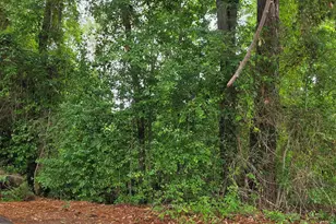 12 Reynolds St, Hawkinsville, GA 31036 - Photo 1