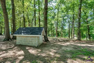 44 Spring Lake Dr, Hawkinsville, GA 31036 - Photo 39