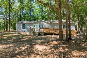 44 Spring Lake Dr, Hawkinsville, GA 31036 - Photo 43