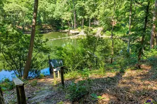 44 Spring Lake Dr, Hawkinsville, GA 31036 - Photo 41