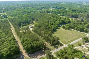 3270 Hamlin Rd, Lizella, GA 31052 - Photo 3