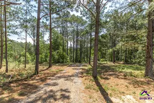 3270 Hamlin Rd, Lizella, GA 31052 - Photo 7