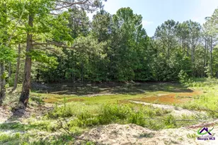 3270 Hamlin Rd, Lizella, GA 31052 - Photo 45