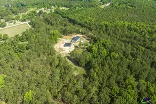 3270 Hamlin Rd, Lizella, GA 31052 - Photo 57